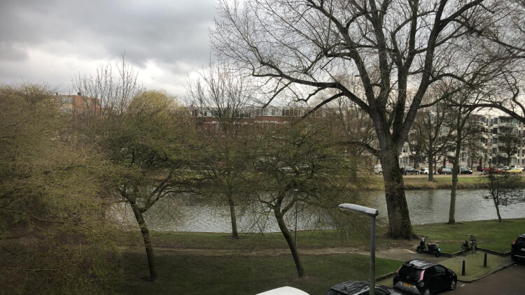 Uitzicht vanuit de woonkamer