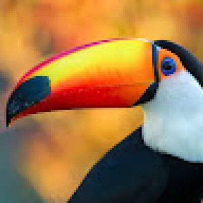 Deirdre  zoekt een Kamer / Studio / Appartement / Huurwoning in Rotterdam