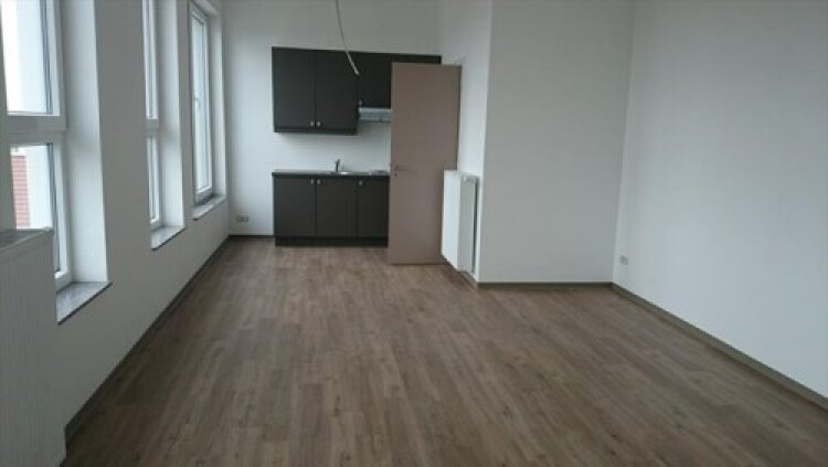 Buizenwerf, Rotterdam